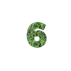 Design number 6 with leaf texture
