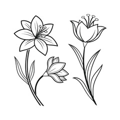 simple line drawings, minimalist flower vector art illustration