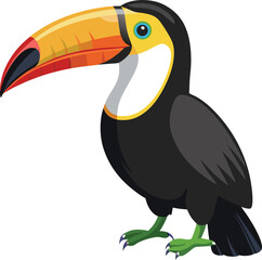 Toucan