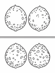 green lime citrus fruit modern minimalist line art.eps