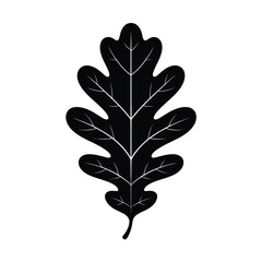 Single Black Silhouette Oak Leaf Illustration Design Element