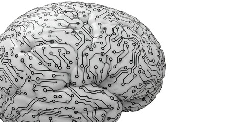 brain with circuit