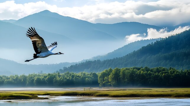 The view of the Sacred Black Necked Crane in the Phobjikha Valley, flying over serene marshlands and forests, with the majestic mountains in the background