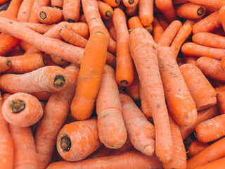 Many carrots at grocery store. Group of carrots piled together. Fresh organic vegetables on the supermarket counter. Shopping concept. 