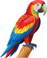 Macaw