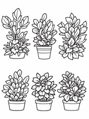 Jade Plant line art modern artistic home decor piece.eps