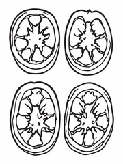 Jalapeno Pepper Line Art Bold Minimalist Illustration Design.eps