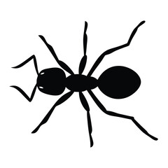 ant vector silhouette icon - , ideal for wildlife, safari, and animal-themed illustrations.