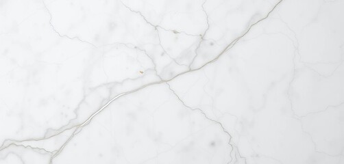 Obraz premium Close-up of Carrara marble's veined surface, showing its luxurious texture, tile, luxury