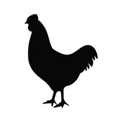 chicken vector silhouette icon - , ideal for wildlife, safari, and animal-themed illustrations.