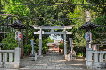 緑に覆われた神社の鳥居