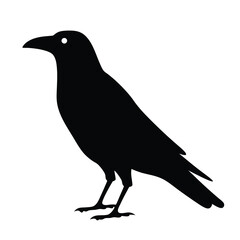 crow vector silhouette icon - , ideal for wildlife, safari, and animal-themed illustrations.