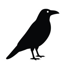 crow vector silhouette icon - , ideal for wildlife, safari, and animal-themed illustrations.