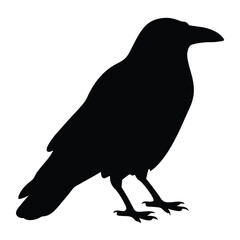 crow vector silhouette icon - , ideal for wildlife, safari, and animal-themed illustrations.