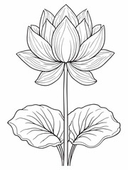 Lotus flower or water lily line art sketch.eps