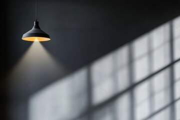 Grayscale lighting in shadowy room with a modern ceiling fixture