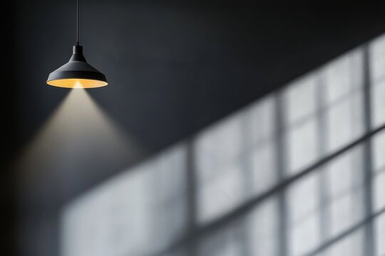 Grayscale lighting in shadowy room with a modern ceiling fixture