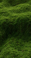 Obraz premium Emerald Moss Carpet: Nature's Soft Embrace