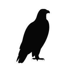 eagle vector silhouette icon - , ideal for wildlife, safari, and animal-themed illustrations.