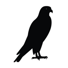 falcon vector silhouette icon - , ideal for wildlife, safari, and animal-themed illustrations.
