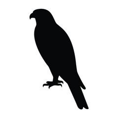 falcon vector silhouette icon - , ideal for wildlife, safari, and animal-themed illustrations.