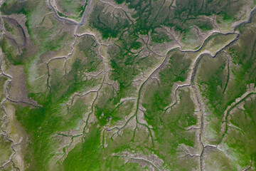 Treto estuary, Laredo, Cantabria, Spain
