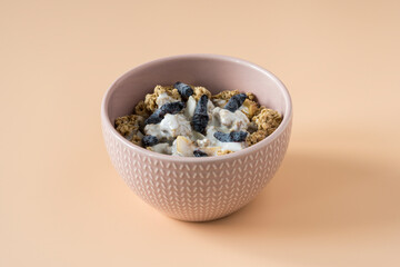 Yogurt with granola . Side view of a ceramic bowl with granola , frozen lonicera and yoghurt on the...