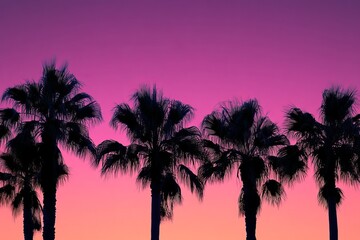 Tropical palm tree silhouettes against vibrant purple and pink sunset sky in a dreamy paradise evening scene