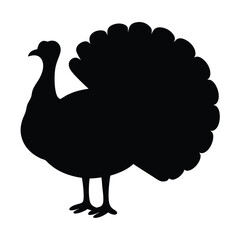 peacock vector silhouette icon - , ideal for wildlife, safari, and animal-themed illustrations.