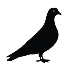 pigeon vector silhouette icon - , ideal for wildlife, safari, and animal-themed illustrations.