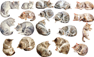sleepy gray tabby watercolor clipart © dian's
