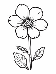 Oranges Flower minimalist line art illustration design.eps