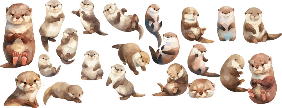 playful otter watercolor clipart
