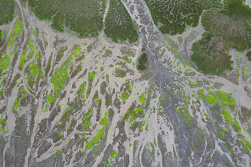 Natural park of Marismas de Santoña, Victoria y Joyel, Cantabria, Spain