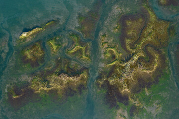 Natural park of Marismas de Santoña, Victoria y Joyel, Cantabria, Spain
