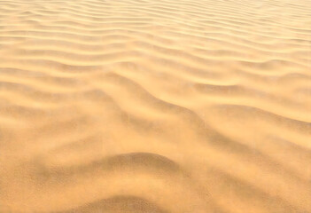 Obraz premium Golden sand dunes with subtle patterns and soft curves under natural sunlight creating a warm and tranquil desert scene.