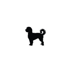 Fluffy Dog silhouette on white background
