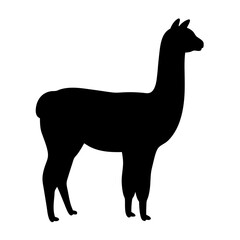 alpaca vector silhouette icon - , ideal for wildlife, safari, and animal-themed illustrations.