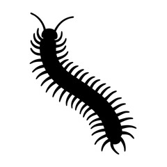 centipede vector silhouette icon - , ideal for wildlife, safari, and animal-themed illustrations.