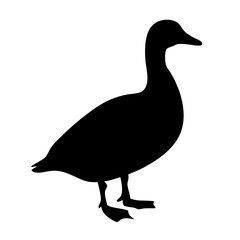 duck vector silhouette icon - , ideal for wildlife, safari, and animal-themed illustrations.