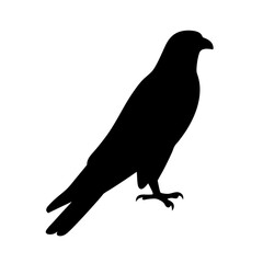 falcon vector silhouette icon - , ideal for wildlife, safari, and animal-themed illustrations.