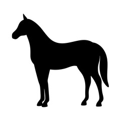 horse vector silhouette icon - , ideal for wildlife, safari, and animal-themed illustrations.