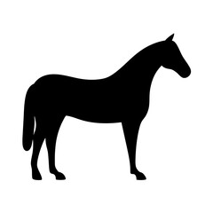 horse vector silhouette icon - , ideal for wildlife, safari, and animal-themed illustrations.
