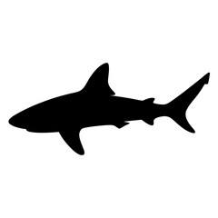 Obraz premium shark vector silhouette icon - , ideal for wildlife, safari, and animal-themed illustrations.