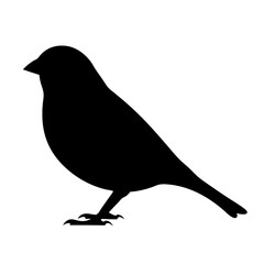 sparrow vector silhouette icon - , ideal for wildlife, safari, and animal-themed illustrations.