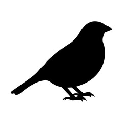sparrow vector silhouette icon - , ideal for wildlife, safari, and animal-themed illustrations.