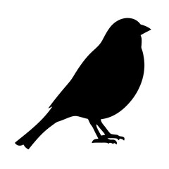 sparrow vector silhouette icon - , ideal for wildlife, safari, and animal-themed illustrations.