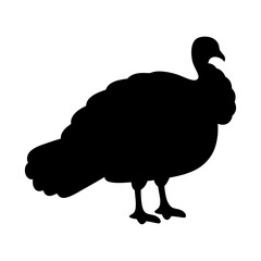 turkey vector silhouette icon - , ideal for wildlife, safari, and animal-themed illustrations.