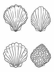 seashell line art simple yet sophisticated clean modern style.eps