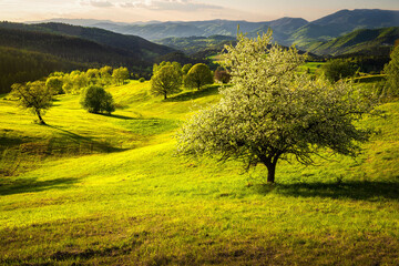 Scenic Landscape view during the sunset in Povraznik, Polana Mountain, Slovakia © Ji